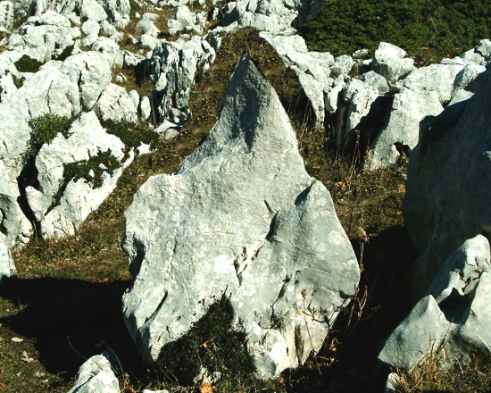 Sculture naturali